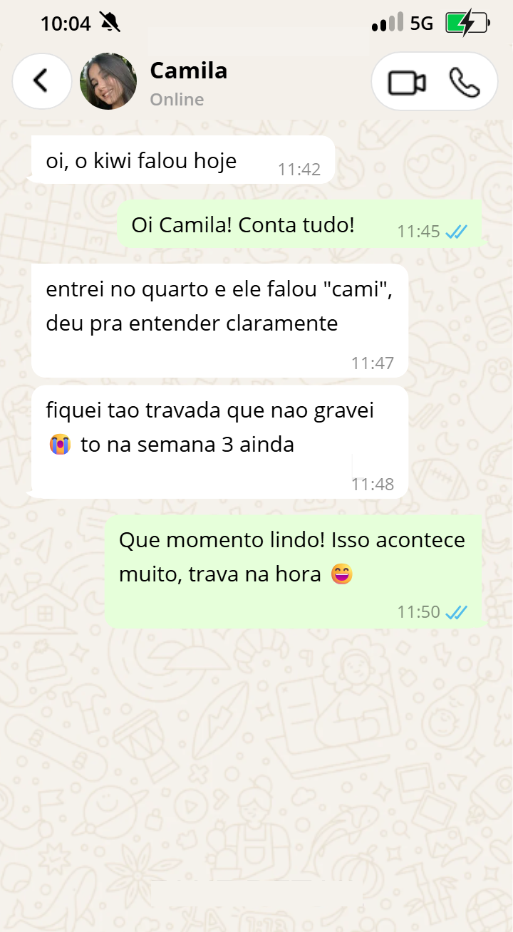 Print de conversa real no WhatsApp com Camila
